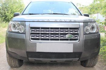 Защитная сетка в бампер (низ, ячейка 3х7 мм) Alfeco Стандарт Land Rover Freelander L359 дорестайлинг (2006-2010) ()