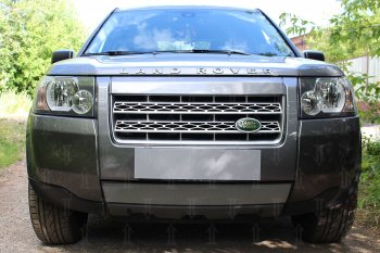 Защитная сетка в бампер (низ, ячейка 3х7 мм) Alfeco Стандарт Land Rover Freelander L359 дорестайлинг (2006-2010) ()