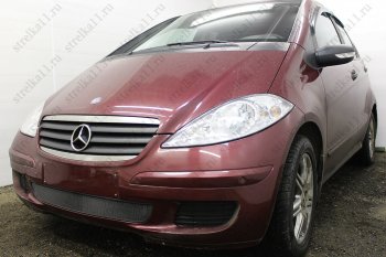 3 079 р. Защитная сетка в бампер (низ, ячейка 3х7 мм) Alfeco Стандарт Mercedes-Benz A class W169 дорестайлинг, хэтчбэк 5 дв. (2005-2008) (Чёрная)  с доставкой в г. Воронеж. Увеличить фотографию 2