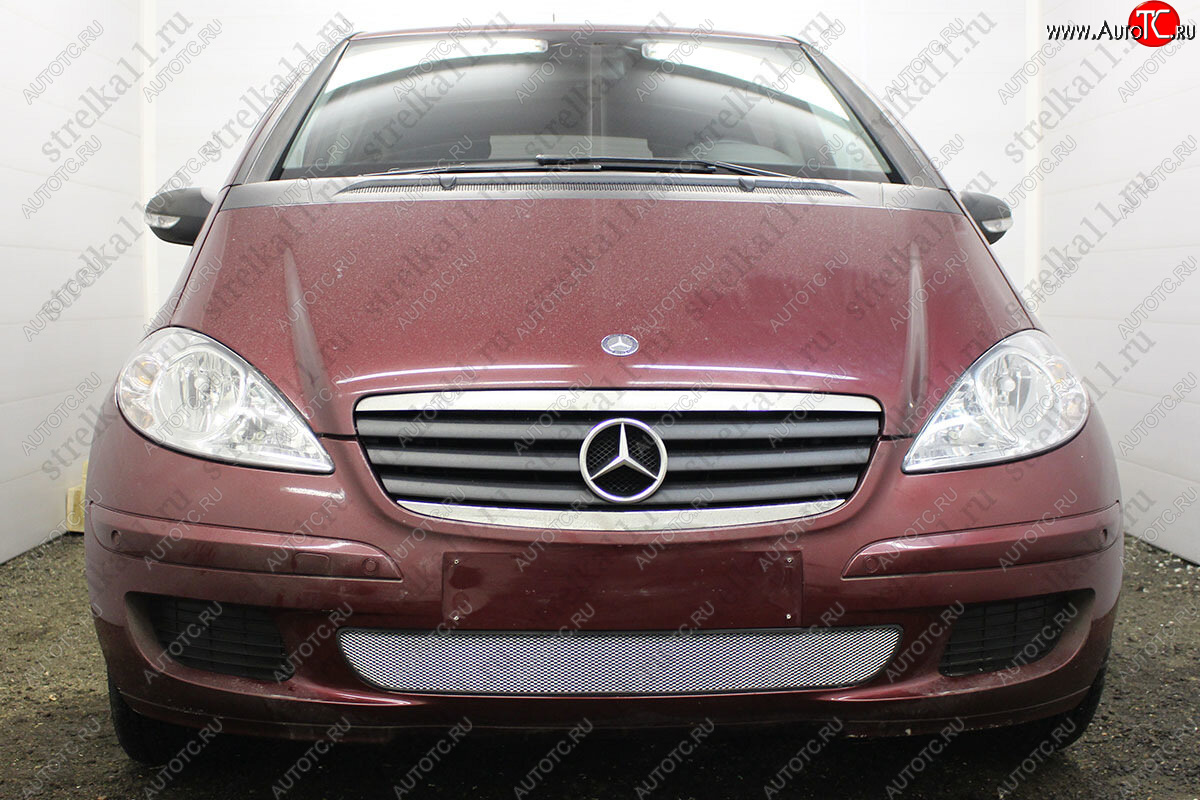 3 099 р. Защитная сетка в бампер (низ, ячейка 3х7 мм) Alfeco Стандарт Mercedes-Benz A class W169 дорестайлинг, хэтчбэк 5 дв. (2005-2008) (Хром)  с доставкой в г. Воронеж