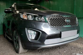 4 549 р. Защитная сетка в бампер (низ, ячейка 4х10 мм) Alfeco Премиум  KIA Sorento  UM/Prime (2014-2018) дорестайлинг (Хром)  с доставкой в г. Воронеж. Увеличить фотографию 2