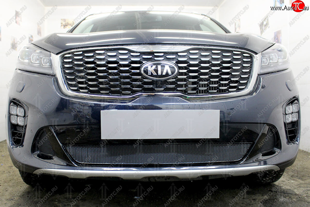 4 299 р. Защитная сетка в бампер (низ, ячейка 4х10 мм) Alfeco Премиум  KIA Sorento  UM/Prime (2018-2020) рестайлинг (Чёрная)  с доставкой в г. Воронеж