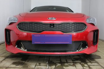6 249 р. Защитная сетка в бампер (верх, ячейка 4х10 мм) Alfeco Премиум  KIA Stinger (2017-2025) (Чёрная)  с доставкой в г. Воронеж. Увеличить фотографию 4