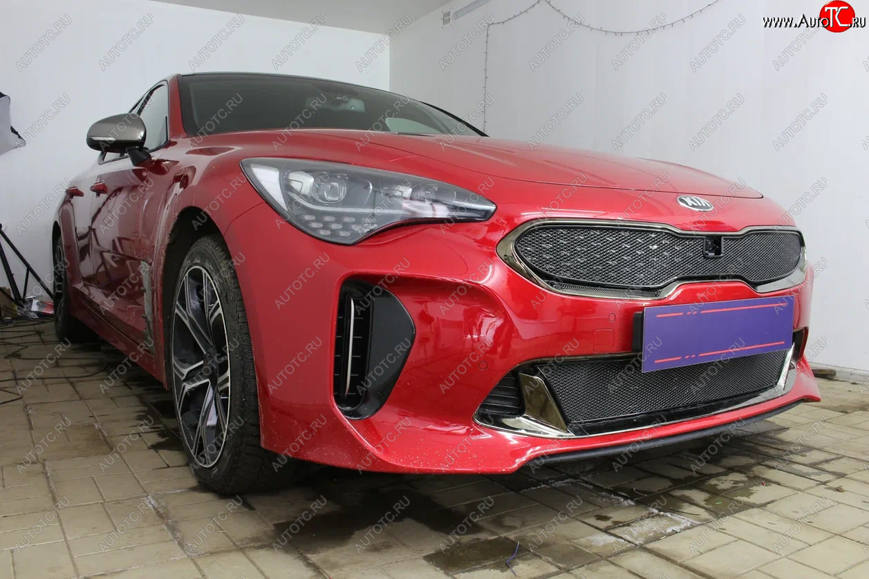 6 249 р. Защитная сетка в бампер (верх, ячейка 4х10 мм) Alfeco Премиум  KIA Stinger (2017-2025) (Чёрная)  с доставкой в г. Воронеж