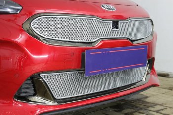 6 299 р. Защитная сетка в бампер (верх, ячейка 4х10 мм) Alfeco Премиум  KIA Stinger (2017-2025) (Хром)  с доставкой в г. Воронеж. Увеличить фотографию 4