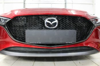 Защитная сетка в бампер (низ, ячейка 4х10 мм) Alfeco Премиум Mazda 3/Axela  BP (2019-2025) хэтчбэк (Чёрная)