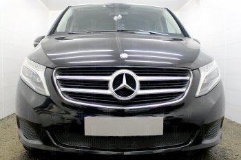 Защитная сетка в бампер (низ, ячейка 4х10 мм) Alfeco Премиум Mercedes-Benz Vito  W447 (2015-2020) дорестайлинг (Чёрная)
