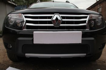 Защитная сетка в бампер (низ, ячейка 4х10 мм) Стрелка11 Премиум Renault Duster  HS (2010-2015) дорестайлинг (Чёрная)