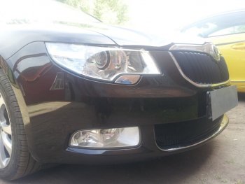 4 299 р. Защитная сетка в бампер (низ, ячейка 4х10 мм) Стрелка11 Премиум Skoda Superb B6 (3T) лифтбэк дорестайлинг (2008-2013) (Чёрная)  с доставкой в г. Воронеж. Увеличить фотографию 2