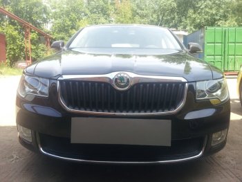 Защитная сетка в бампер (низ, ячейка 4х10 мм) Стрелка11 Премиум Skoda Superb B6 (3T) лифтбэк дорестайлинг (2008-2013) (Чёрная)