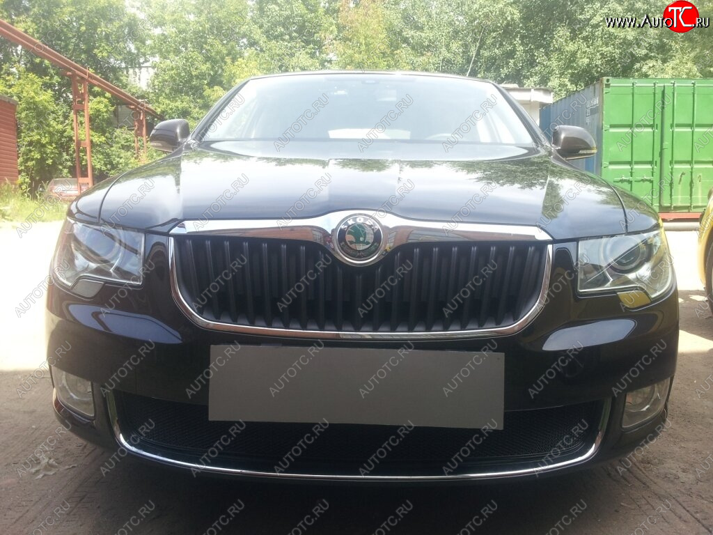 4 299 р. Защитная сетка в бампер (низ, ячейка 4х10 мм) Стрелка11 Премиум Skoda Superb B6 (3T) лифтбэк дорестайлинг (2008-2013) (Чёрная)  с доставкой в г. Воронеж