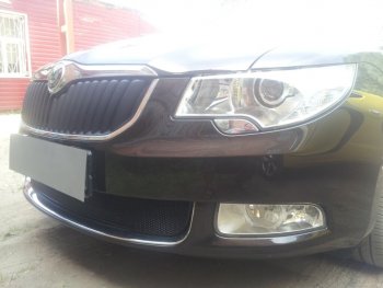 4 299 р. Защитная сетка в бампер (низ, ячейка 4х10 мм) Стрелка11 Премиум Skoda Superb B6 (3T) лифтбэк дорестайлинг (2008-2013) (Чёрная)  с доставкой в г. Воронеж. Увеличить фотографию 3