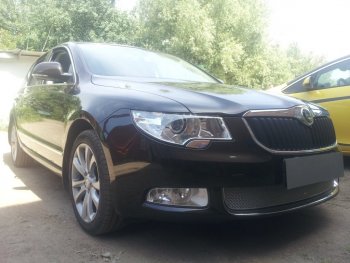 4 299 р. Защитная сетка в бампер (низ, ячейка 4х10 мм) Стрелка11 Премиум Skoda Superb B6 (3T) лифтбэк дорестайлинг (2008-2013) (Хром)  с доставкой в г. Воронеж. Увеличить фотографию 2