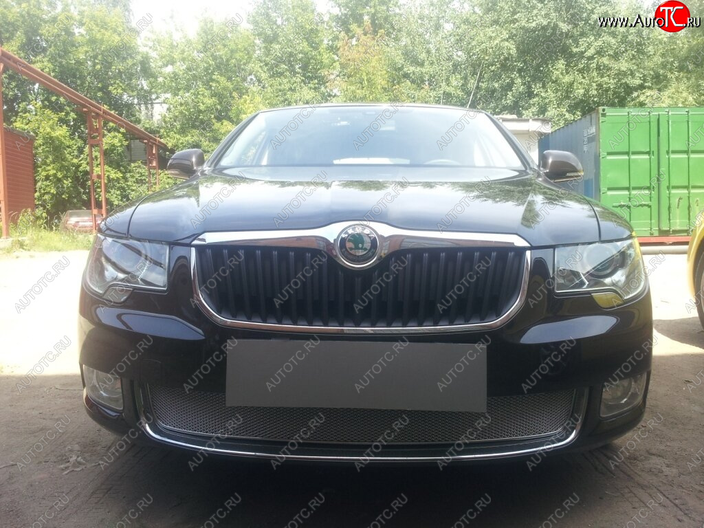 4 299 р. Защитная сетка в бампер (низ, ячейка 4х10 мм) Стрелка11 Премиум Skoda Superb B6 (3T) лифтбэк дорестайлинг (2008-2013) (Хром)  с доставкой в г. Воронеж