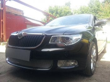 4 299 р. Защитная сетка в бампер (низ, ячейка 4х10 мм) Стрелка11 Премиум Skoda Superb B6 (3T) лифтбэк дорестайлинг (2008-2013) (Хром)  с доставкой в г. Воронеж. Увеличить фотографию 3