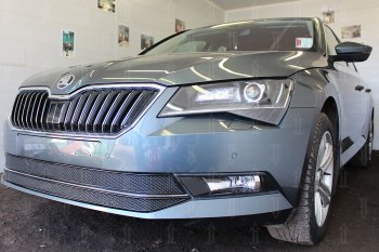 6 749 р. Защитная сетка в бампер (низ, 2 части, ячейка 4х10 мм) Стрелка11 Премиум  Skoda Superb ( B8 (3V),  B8 (3V5)) (2015-2019) лифтбэк дорестайлинг, универсал дорестайлинг (Чёрная)  с доставкой в г. Воронеж. Увеличить фотографию 2