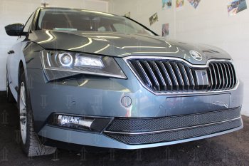 6 749 р. Защитная сетка в бампер (низ, 2 части, ячейка 4х10 мм) Стрелка11 Премиум  Skoda Superb ( B8 (3V),  B8 (3V5)) (2015-2019) лифтбэк дорестайлинг, универсал дорестайлинг (Чёрная)  с доставкой в г. Воронеж. Увеличить фотографию 3