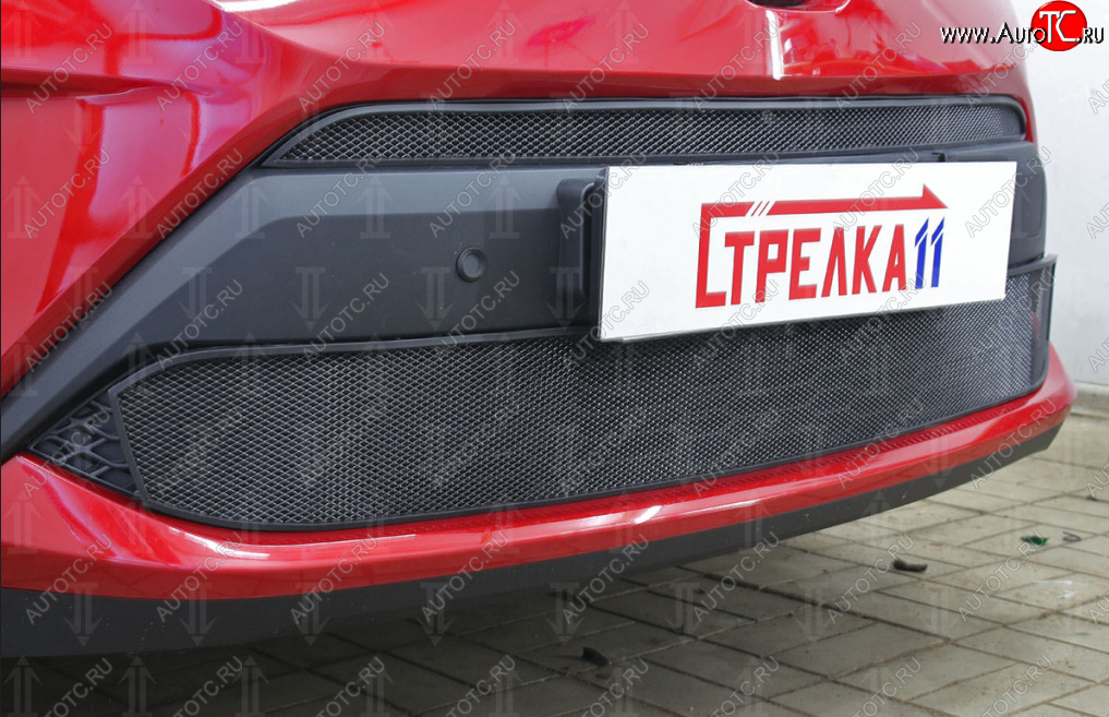 5 499 р. Защитная сетка в бампер (низ, ячейка 4х10 мм) Стрелка11 Премиум  Toyota C-HR  NGX10, ZGX10 (2019-2025) рестайлинг (Чёрная)  с доставкой в г. Воронеж