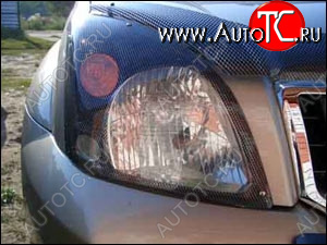 1 199 р. Защита передних фар карбоновая TOYOTA LAND CRUISER PRADO 2001-2008, NLD.STOLCP0123  Тойота Ленд крузер прадо SIM nld.stolcp0123  с доставкой в г. Воронеж