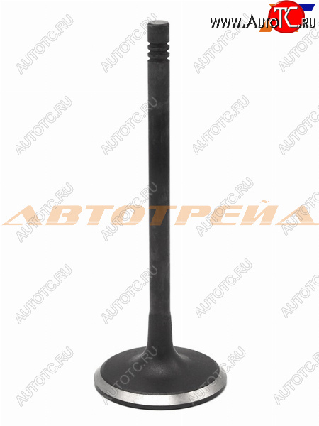 669 р. Клапан впускной (1 шт) OPEL ANTARA 2,22,4 07- SHINHAN 12622329  с доставкой в г. Воронеж