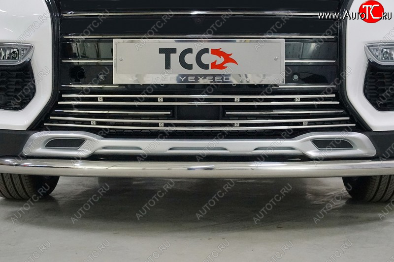 5 599 р. Нижняя декоративная вставка в бампер ТСС Тюнинг  EXEED TXL (2020-2021)  дорестайлинг (d 12 мм)  с доставкой в г. Воронеж