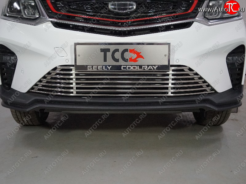 11 999 р. Декоративная вставка в бампер ТСС Тюнинг  Geely Coolray  SX11 (2018-2025) дорестайлинг, рестайлинг (d 12 мм)  с доставкой в г. Воронеж