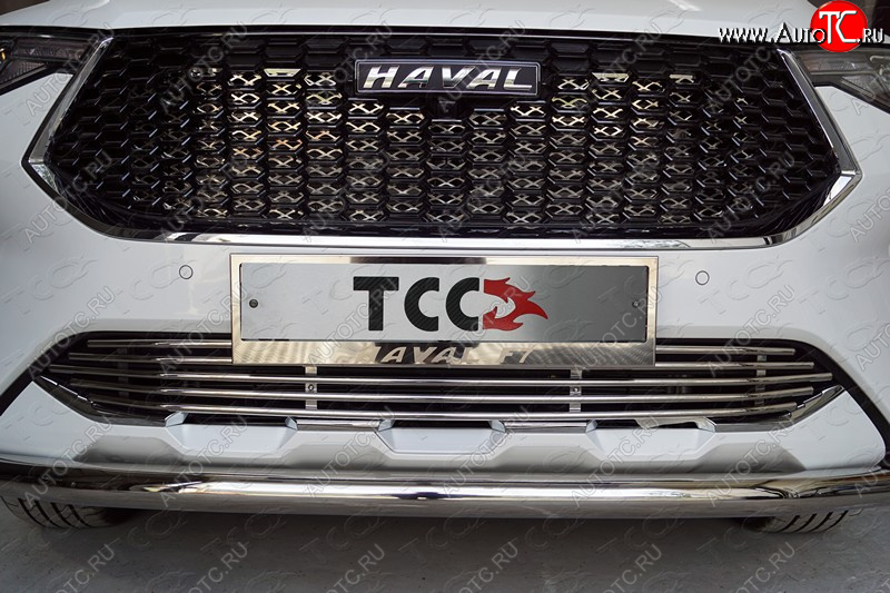 7 349 р. Нижняя декоративная вставка в бампер ТСС Тюнинг  Haval F7 (2018-2022)  дорестайлинг (d 12 мм)  с доставкой в г. Воронеж