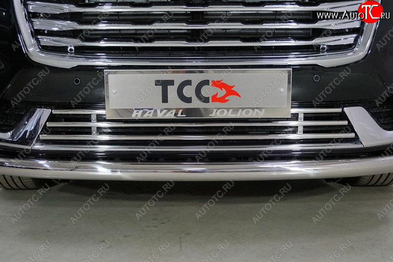 4 549 р. Нижняя декоративная вставка в бампер ТСС Тюнинг  Haval Jolion (2020-2024) дорестайлинг (d 16 мм )  с доставкой в г. Воронеж