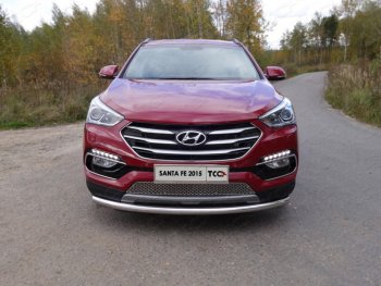 15 999 р. Защита переднего бампера нижняя d60,3 мм ТСС Тюнинг  Hyundai Santa Fe  DM (2015-2019) рестайлинг (нержавейка)  с доставкой в г. Воронеж. Увеличить фотографию 1