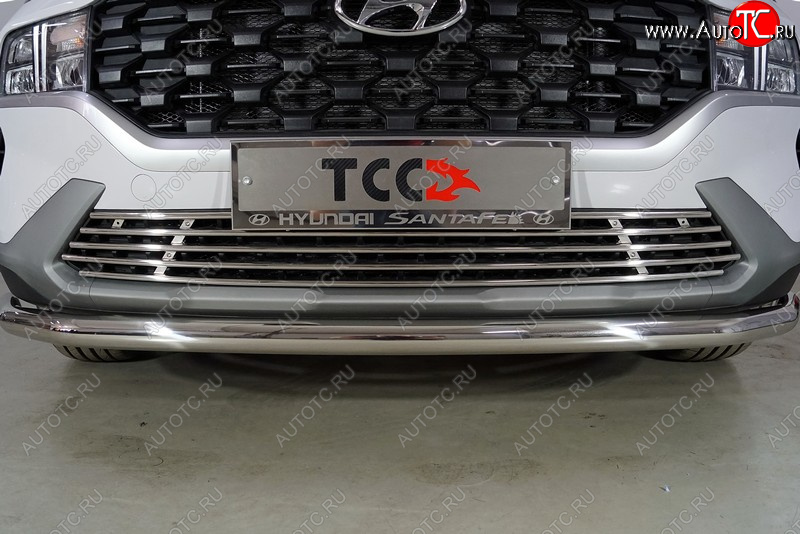 8 699 р. Нижняя декоративная вставка в бампер ТСС Тюнинг  Hyundai Santa Fe  TM (2020-2022) рестайлинг (d 12 мм)  с доставкой в г. Воронеж
