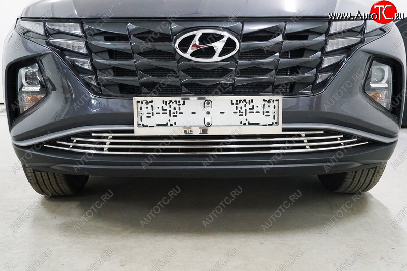 9 349 р. Нижняя декоративная вставка в бампер ТСС Тюнинг  Hyundai Tucson  NX4 (2020-2022) (d 12 мм)  с доставкой в г. Воронеж