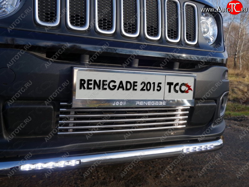 5 849 р. Нижняя декоративная вставка в бампер ТСС Тюнинг  Jeep Renegade (2014-2018) дорестайлинг (d 12 мм)  с доставкой в г. Воронеж
