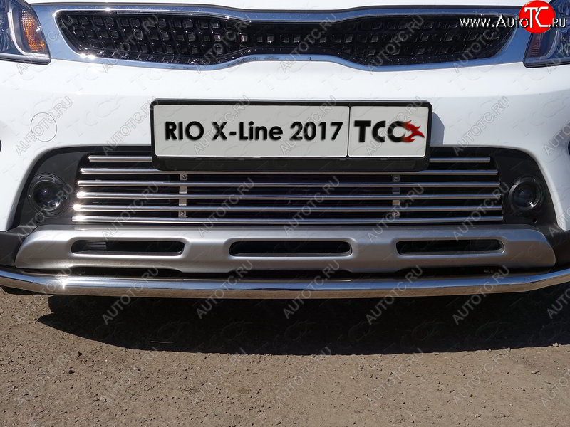 8 799 р. Нижняя декоративная вставка в бампер ТСС Тюнинг  KIA Rio  X-line (2017-2021) (d 12 мм)  с доставкой в г. Воронеж