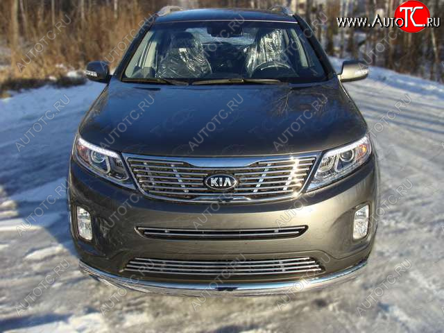 5 849 р. Нижняя декоративная вставка в бампер ТСС Тюнинг KIA Sorento XM рестайлинг (2012-2015) (d 12 мм)  с доставкой в г. Воронеж