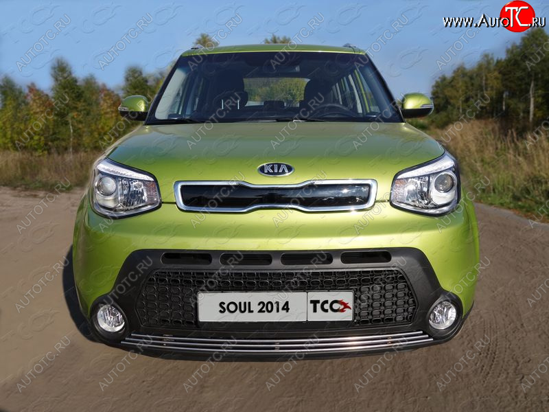 2 199 р. Нижняя декоративная вставка в бампер ТСС Тюнинг  KIA Soul  PS (2014-2016) дорестайлинг (d 12 мм)  с доставкой в г. Воронеж