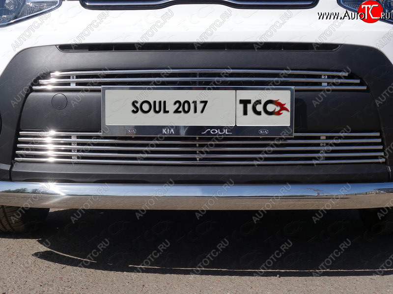 7 349 р. Нижняя декоративная вставка в бампер ТСС Тюнинг KIA Soul PS рестайлинг (2017-2019) (d 12 мм)  с доставкой в г. Воронеж
