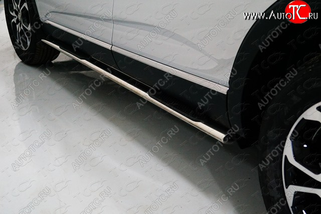 29 749 р. Пороги овальные с накладкой 75х42 мм ТСС Тюнинг Renault Arkana (2019-2025) (серые)  с доставкой в г. Воронеж