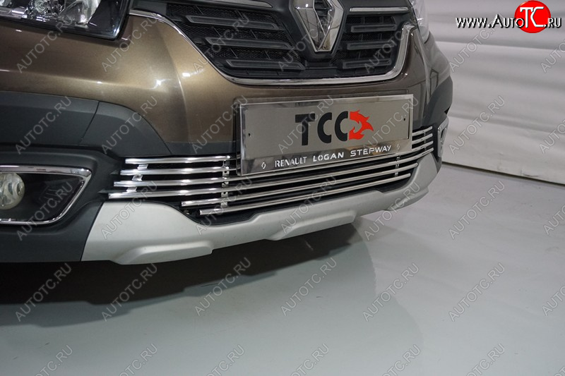 6 549 р. Нижняя декоративная вставка в бампер ТСС Тюнинг  Renault Logan Stepway (2018-2025) (d 12 мм)  с доставкой в г. Воронеж