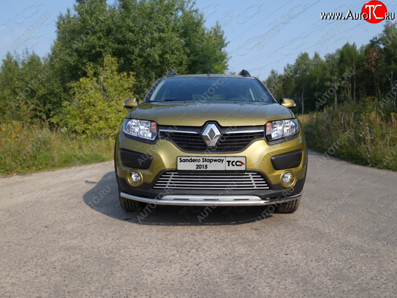 7 349 р. Нижняя декоративная вставка в бампер ТСС Тюнинг  Renault Sandero Stepway  (B8) (2014-2018) дорестайлинг (d 12 мм)  с доставкой в г. Воронеж