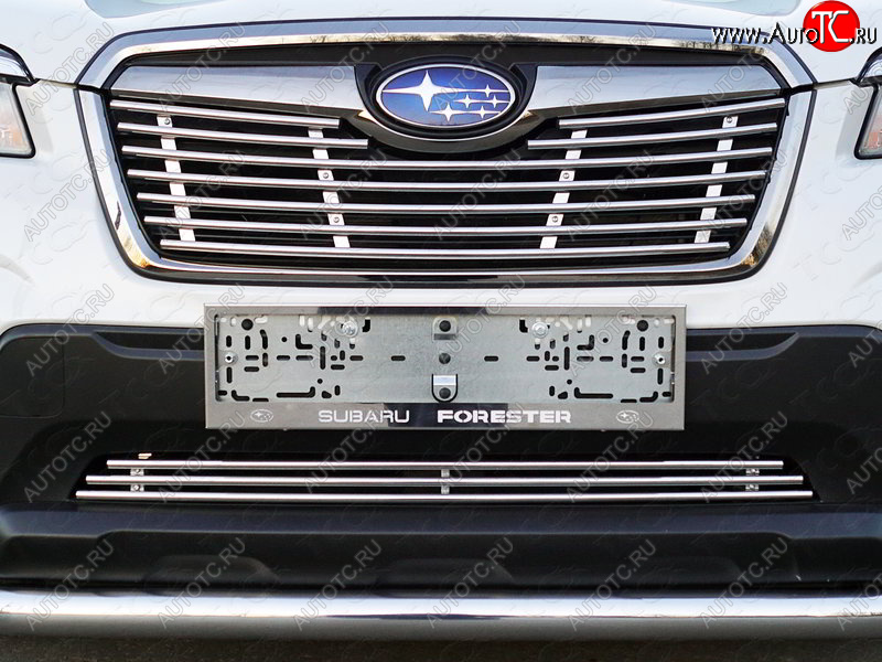 4 999 р. Нижняя декоративная вставка в бампер ТСС Тюнинг  Subaru Forester  SK/S14 (2018-2021) дорестайлинг (d 12 мм)  с доставкой в г. Воронеж