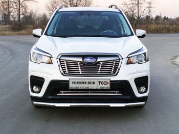 Защита переднего бампера нижняя с ДХО 60,3 мм ТСС Тюнинг Subaru Forester SK/S14 дорестайлинг (2018-2021) ()