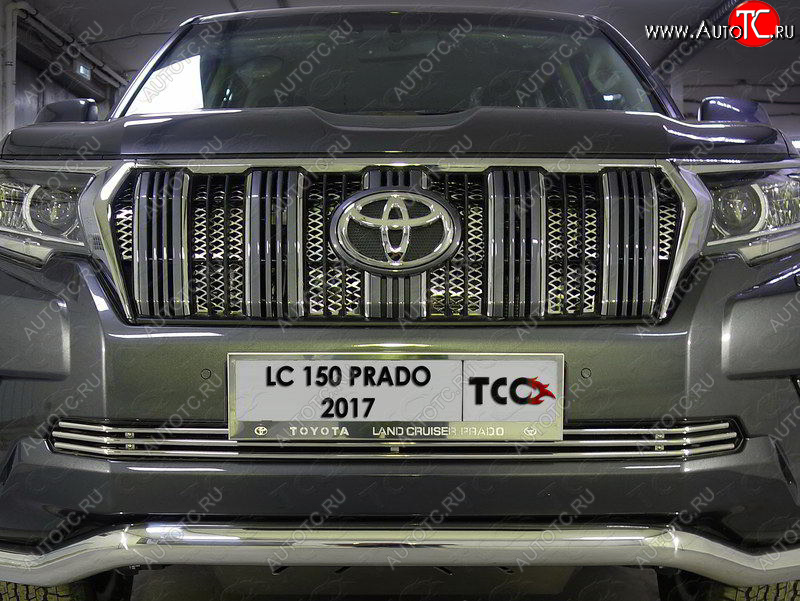 7 349 р. Нижняя декоративная вставка в бампер ТСС Тюнинг  Toyota Land Cruiser Prado  J150 (2017-2020) 2-ой рестайлинг (d 12 мм)  с доставкой в г. Воронеж