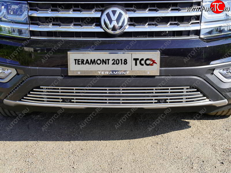 8 799 р. Нижняя декоративная вставка в бампер (с парктроником) ТСС Тюнинг  Volkswagen Teramont  CA1 (2016-2020) дорестайлинг (d 12 мм)  с доставкой в г. Воронеж