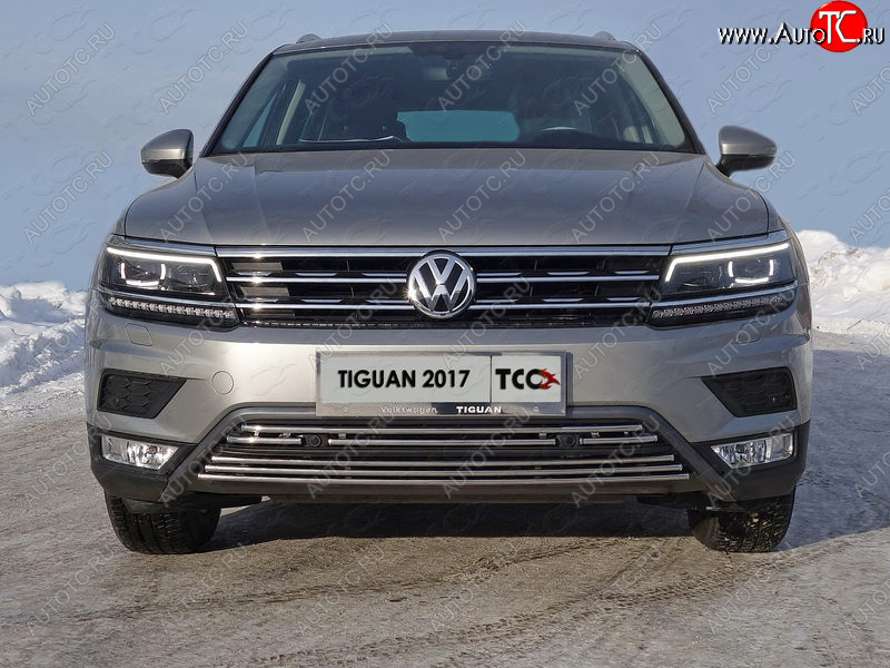 7 349 р. Нижняя декоративная вставка в бампер (пакет Offroad) ТСС Тюнинг  Volkswagen Tiguan  Mk2 (2016-2020) дорестайлинг (d 16 мм)  с доставкой в г. Воронеж