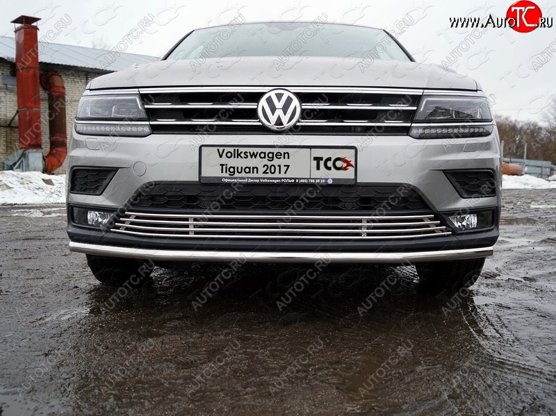 7 349 р. Нижняя декоративная вставка в бампер ТСС Тюнинг  Volkswagen Tiguan  Mk2 (2016-2020) дорестайлинг (d 12 мм)  с доставкой в г. Воронеж