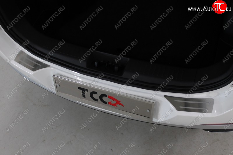 3 099 р. Накладки на задний бампер, ТСС Тюнинг  Chery Tiggo 7 PRO (2019-2025) (лист шлифованный с полосой)  с доставкой в г. Воронеж