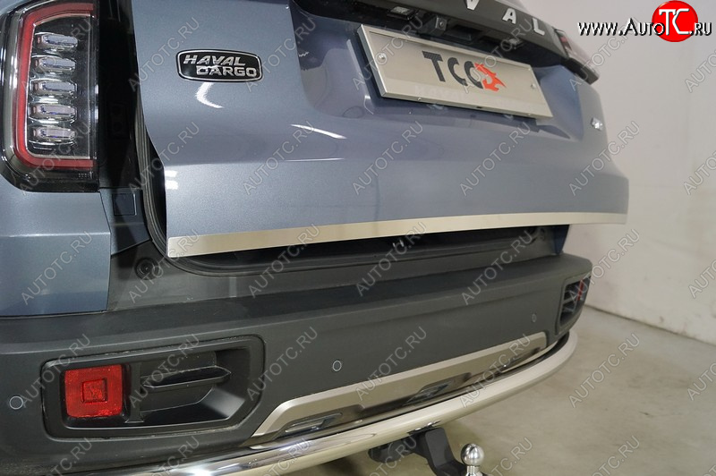 1 499 р. Накладка на заднюю дверь, ТСС Тюнинг  Haval Dargo (2022-2025) (Лист шлифованный)  с доставкой в г. Воронеж