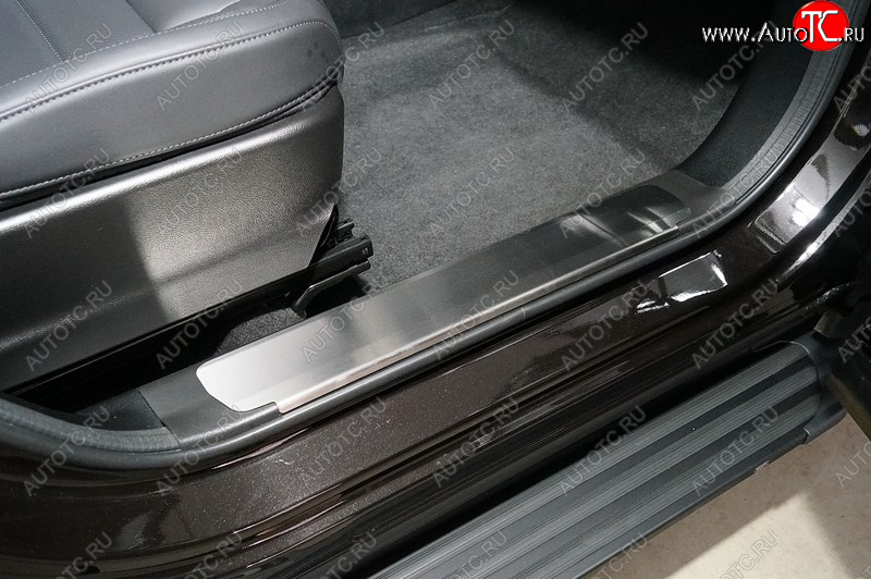 2 989 р. Накладки на пластиковые пороги, ТСС Тюнинг  Haval F7x (2022-2024) рестайлинг (лист шлифованный)  с доставкой в г. Воронеж