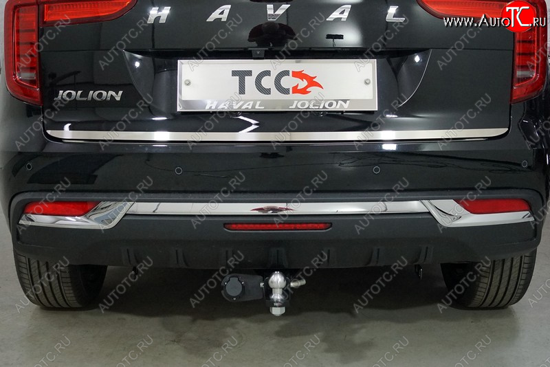 1 999 р. Накладка на заднюю дверь, ТСС Тюнинг  Haval Jolion (2020-2025) дорестайлинг, рестайлинг (Лист шлифованный)  с доставкой в г. Воронеж