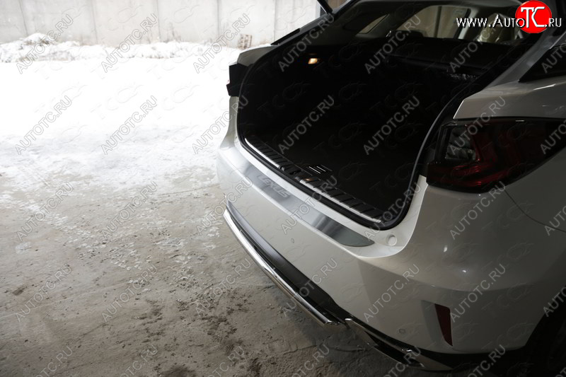 4 399 р. Накладка на задний бампер, ТСС Тюнинг  Lexus RX  200T - RX450H  AL10 (лист шлифованный надпись Lexus)  с доставкой в г. Воронеж